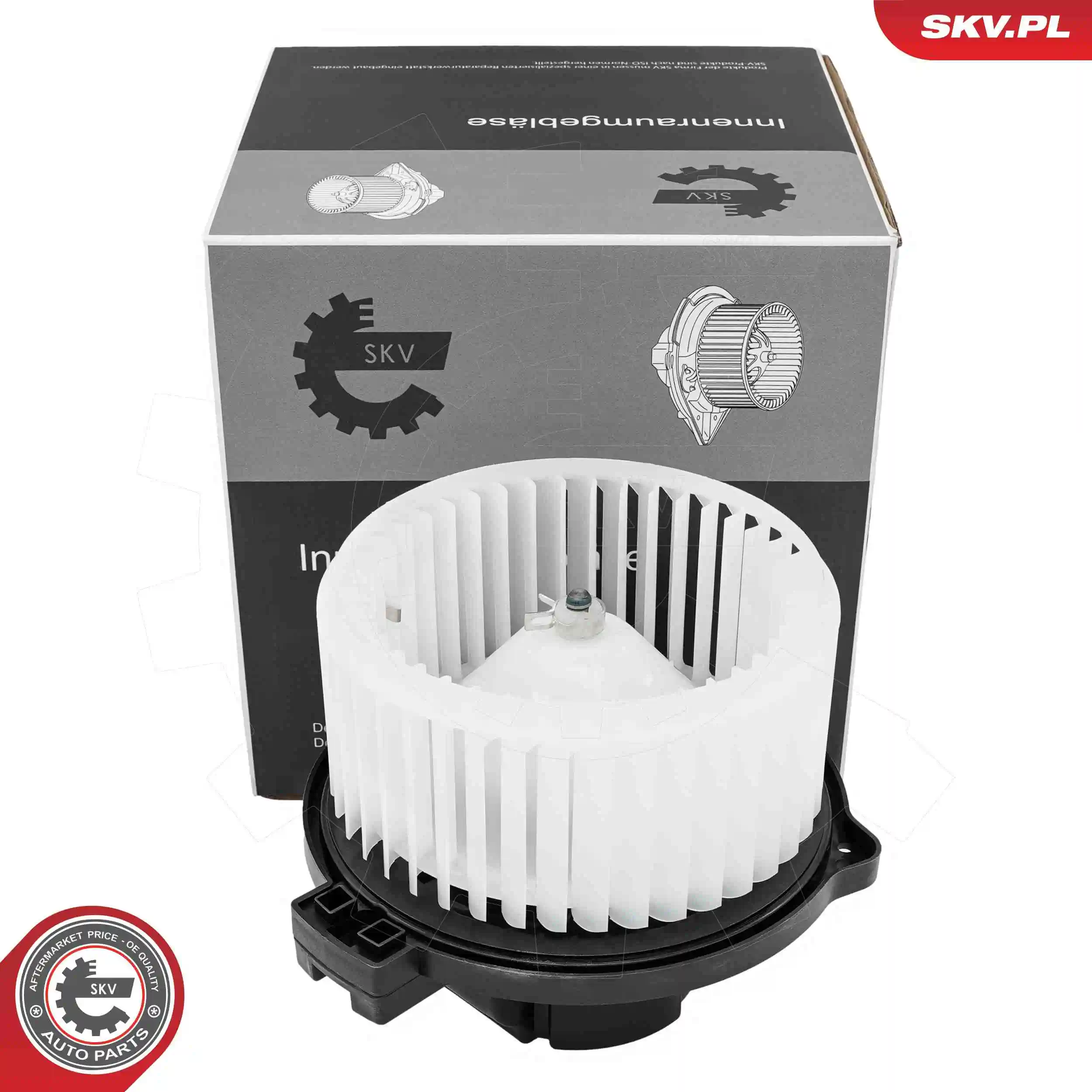 Interior Blower